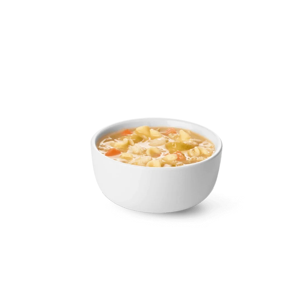 Healthy Noodle Soup